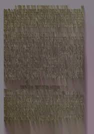 Attēlu rezultāti vaicājumam “Trichia longipalpis”