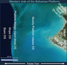 Image result for платформа Андрос