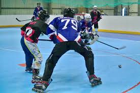Image result for Dundee Ducks inline roller hockey club