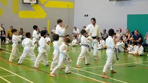Image result for Alleyn School Of Japanese Karate