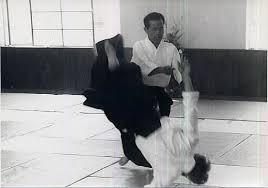 Image result for Moslin & Dewandre Aiki Dojo