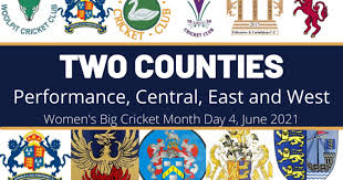 Image result for Worlingworth Cricket Club