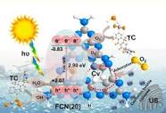 Scrutinizing the role of tunable carbon vacancies in g-C3N4 ...
