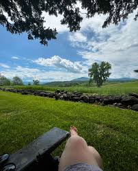 Image result for Bugaboo Cameleon Amy Poehler