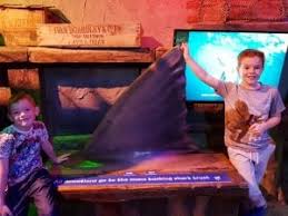 Image result for Blackpool Tiggers