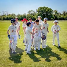 Image result for Whitchurch-Heath Cricket Club