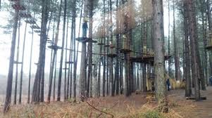 Image result for The Go Ape Experience (Delamere Forest)