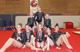 Image result for Sheredes Gymnastics Club