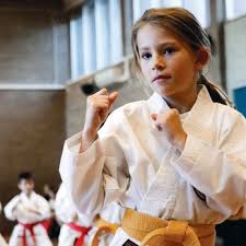 Image result for North Yorkshire Goju Ryu Karate Club