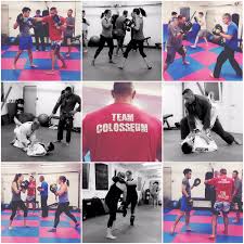 Image result for Haslemere Karate Club