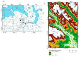 Attēlu rezultāti vaicājumam “Laurilia sulcata”