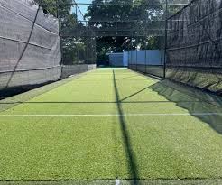 Image result for Old Wilsonians Cricket Club