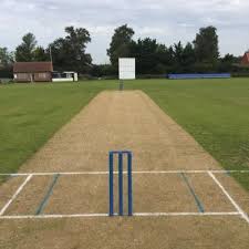 Image result for Plumtree Cricket Club