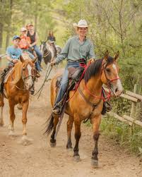 Image result for Palmers Riding Stables