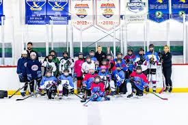 Image result for Stockton Ladies Hockey Club