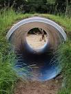 Toddler tunnel. This bit of pipe makes an adventurous tunnel for small - via Daymix