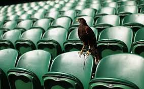 Image result for Wimbledon Hawks