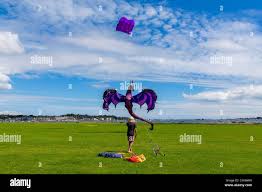 Image result for Poole Kite Fliers