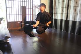 Image result for Hertfordshire Iga Ryu Ninjutsu