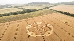 Image result for crop circle