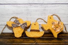 Image result for freshies