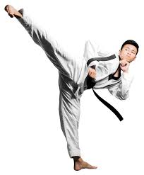 Image result for INTERNATIONAL HAPKIDO TAMWORTH