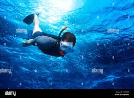 Image result for Deep Blue Diving