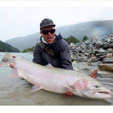 Image result for Rivernook Bowmen