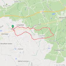 Image result for Oxted Runners