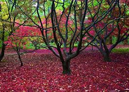 Image result for A J Activities, Herefordshire