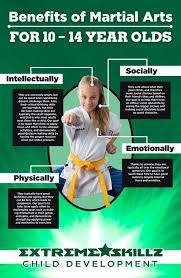 Image result for Skillz Martial Arts