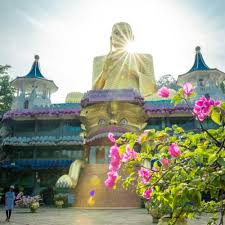 Image result for Дамбулла