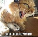 http://funnypicturesimages.com/images/image/lolcats-funny-pictures-leroy.jpg