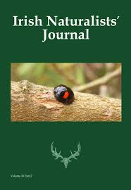 Attēlu rezultāti vaicājumam “Campylophyllum calcareum”