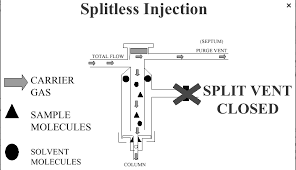 Image result for Splitz Gc