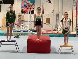 Image result for Heathrow Gymnastics Club