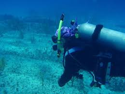 Image result for дорога Бимини