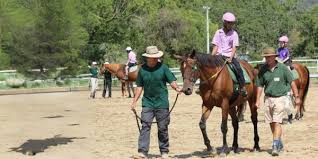 Image result for Riding For The Disabled Association