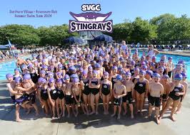 Image result for Perry Beeches Sutton Swim Squad