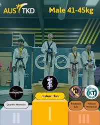 Image result for Hed Tkd (Dorking Tae Kwon-Do)