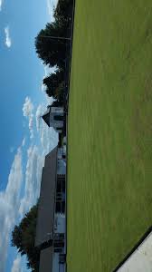 Image result for Great Torrington Bowling Club