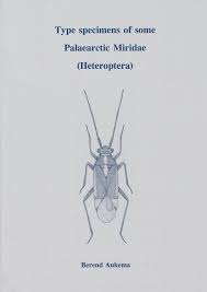 Attēlu rezultāti vaicājumam “Alloeotomus sp.”