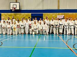 Image result for Epsom & Ewell Karate Club
