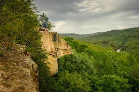 Image result for Dearne Valley Devils