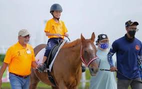 Image result for Riding For The Disabled Association