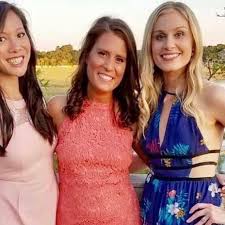 Image result for Lilac Chaser