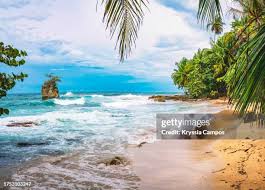 Image result for cahuita costa rica