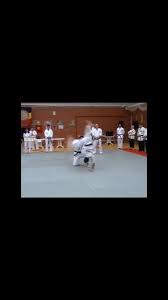 Image result for Tsunami Karate Club