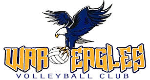 Image result for White Eagles Volleyball Club