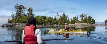 Image result for Kingfisher Canoe Club